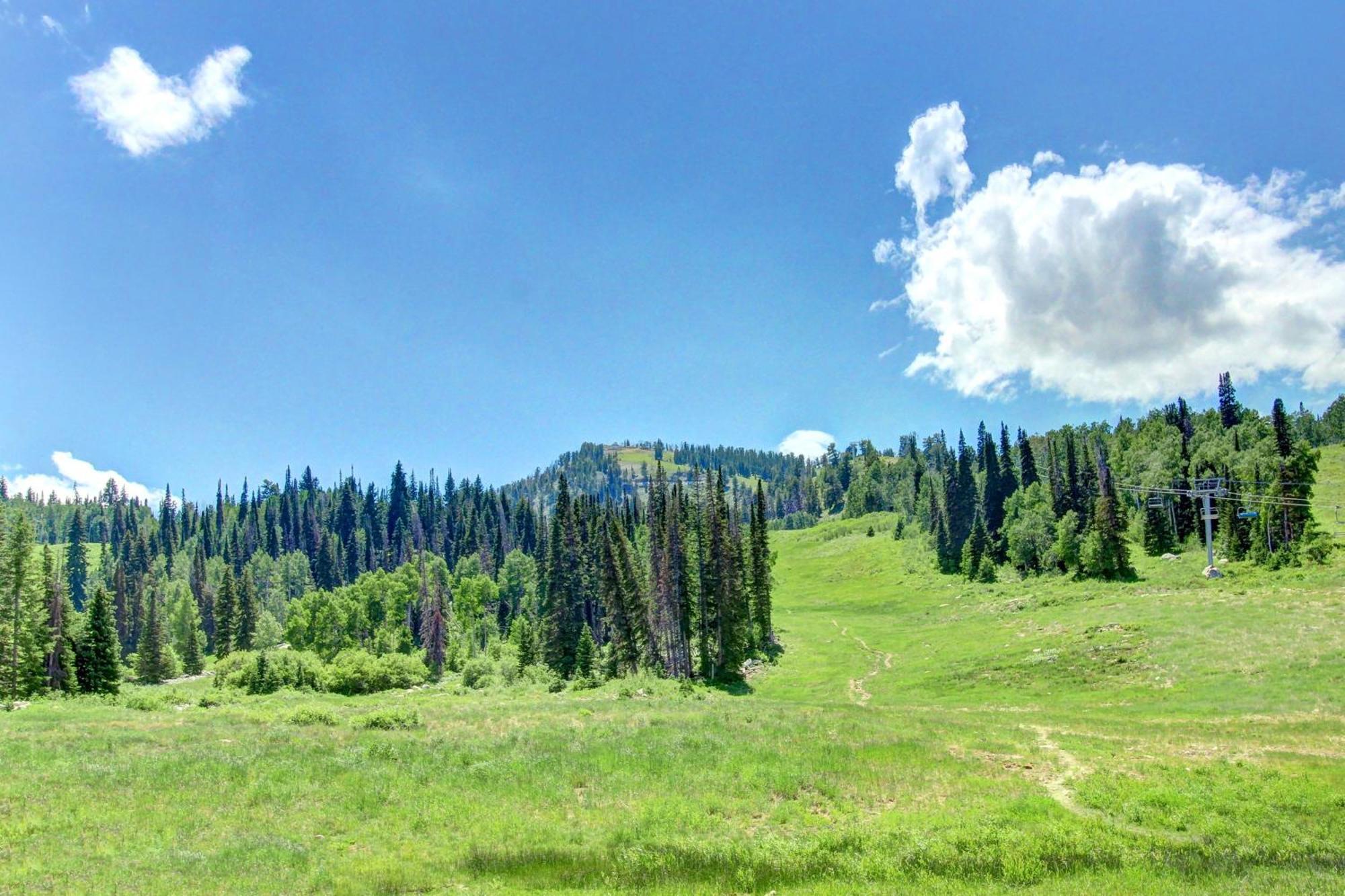 Eagle Springs East 315: Osprey Suite Solitude Экстерьер фото